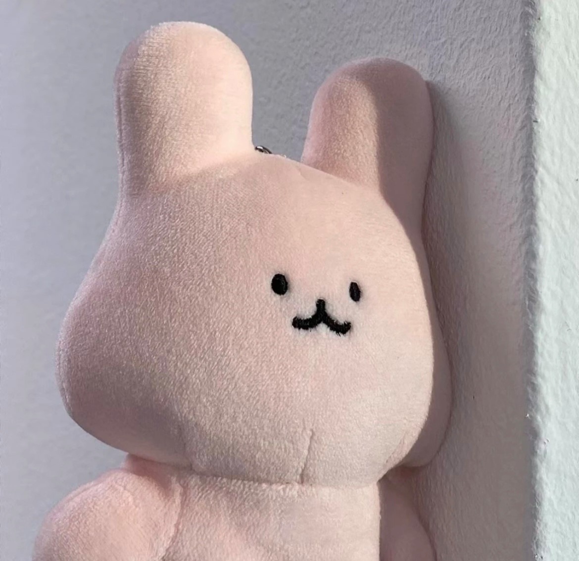 生無可戀的兔兔
